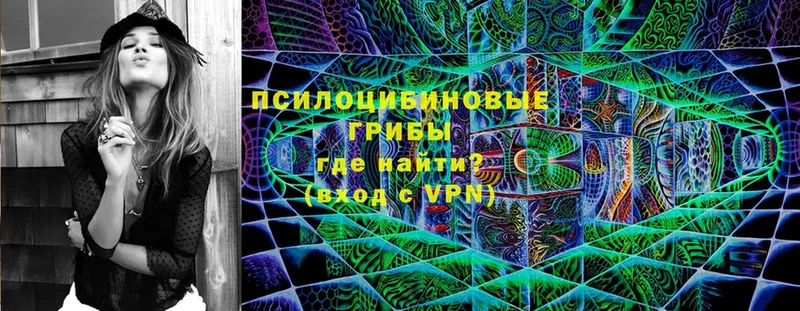 Галлюциногенные грибы Cubensis Новомичуринск